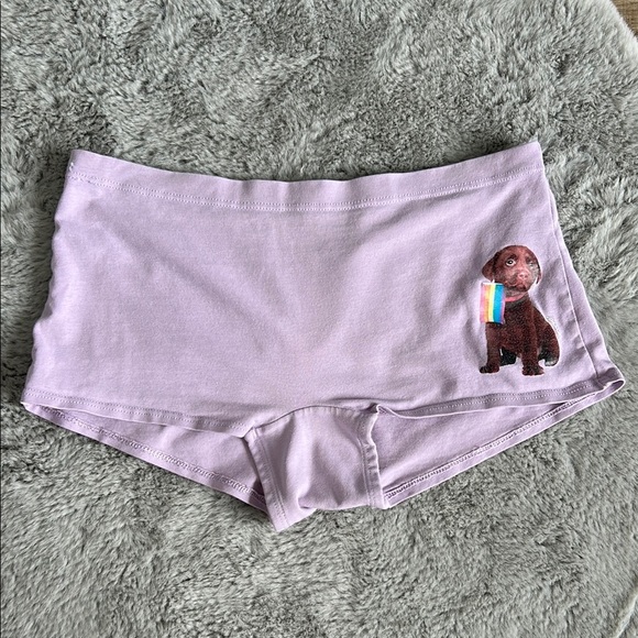 PINK Victoria's Secret Other - PINK Victoria's Secret Pride Boyshort Panty M